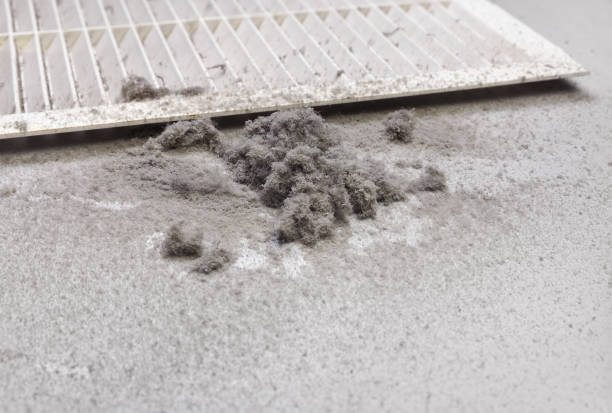 Best Affordable Air Duct Cleaning  in Waterville, NY